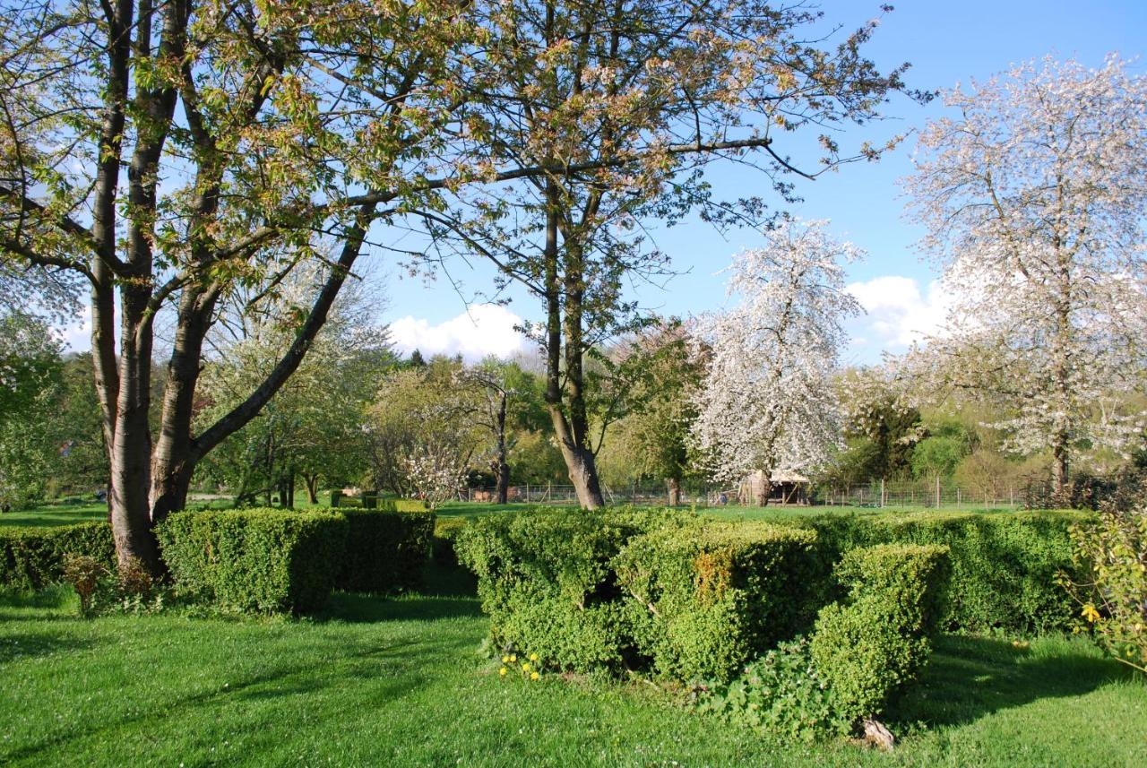 Gites Aux Fleurs De Cerises Le Plessis-Luzarches Kültér fotó
